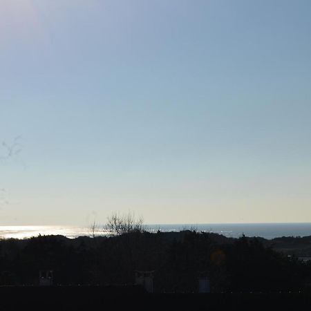 Vue Mer Berck 외부 사진