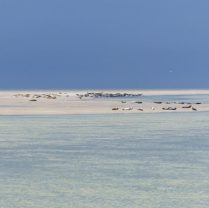 Vue Mer Berck 외부 사진